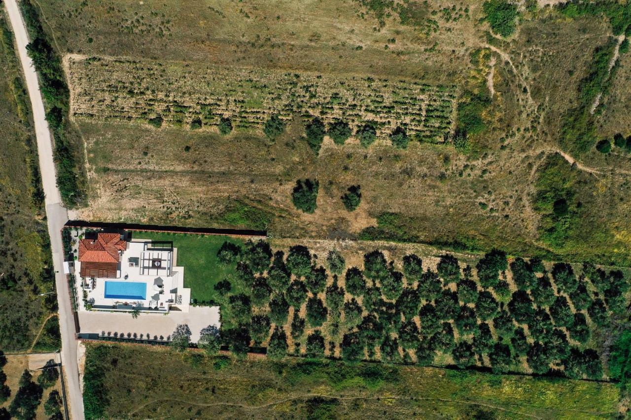 Villa Olivetum 扎达尔 外观 照片
