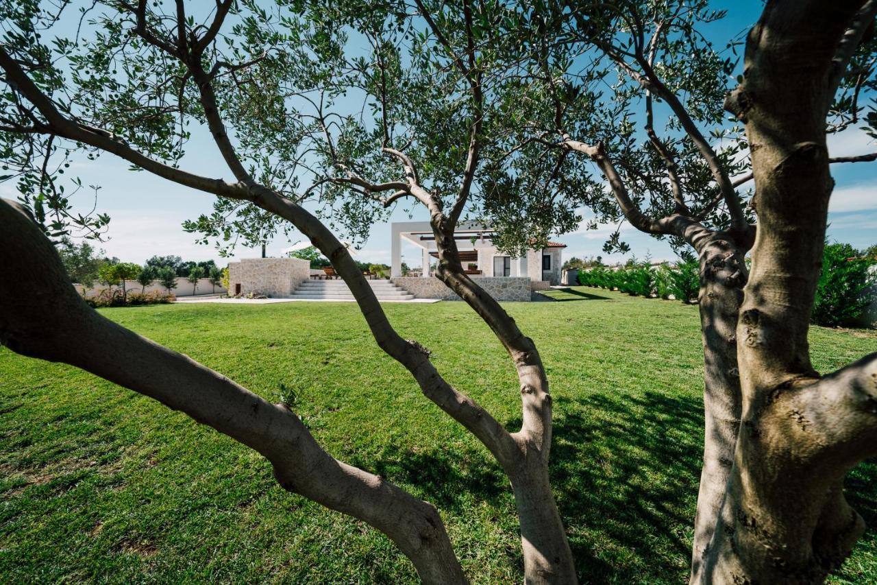 Villa Olivetum 扎达尔 外观 照片